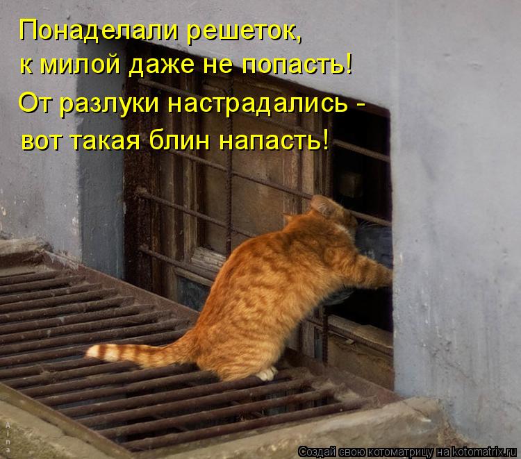 Понаделали решеток, к милой даже не попасть! От разлуки настрадались - вот такая блин напасть!... Котоматрица: Понаделали решеток, к милой даже не попасть! От разлуки настрадались - вот такая блин напасть!