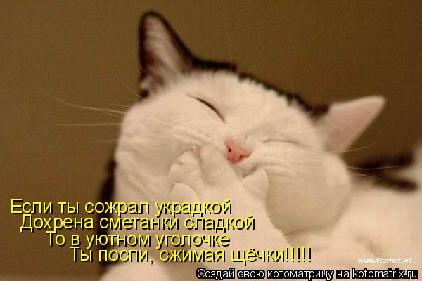 Если ты сожрал украдкой Дохрена сметанки сладкой То в уютном уголочке Ты поспи, сжимая щёчки!!!!!... Котоматрица: Если ты сожрал украдкой Дохрена сметанки сладкой То в уютном уголочке Ты поспи, сжимая щёчки!!!!!