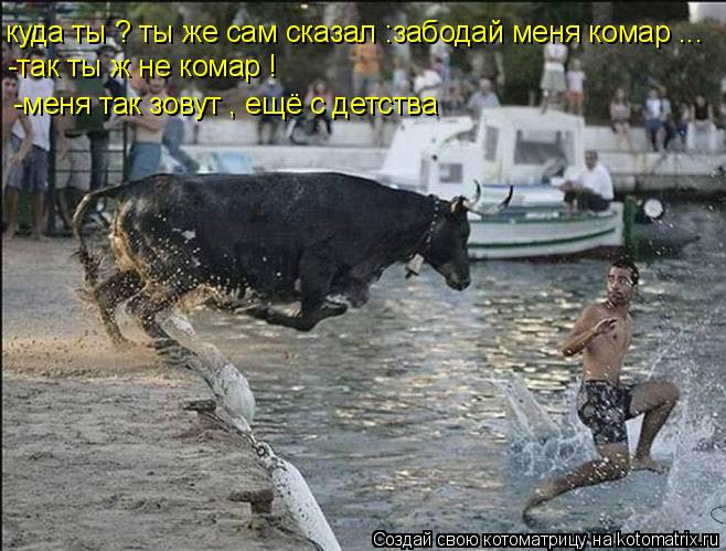 Котоматрица: куда ты ? ты же сам сказал :забодай меня комар ... -так ты ж не комар ! -меня так зовут , ещё с детства