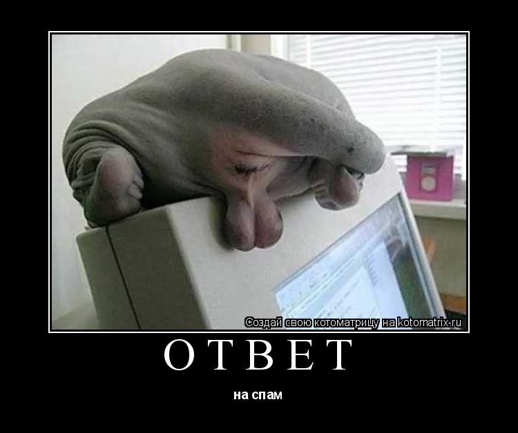 Ответ на спам... Котоматрица: Ответ на спам