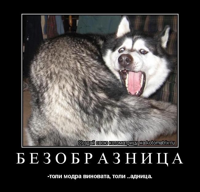 Безобразница -толи модра виновата, толи ..адница.... Котоматрица: Безобразница -толи модра виновата, толи ..адница.