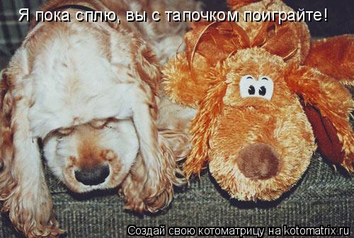 Я пока сплю, вы с тапочком поиграйте!... Котоматрица: Я пока сплю, вы с тапочком поиграйте!