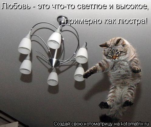 Котоматрица: примерно как люстра! Любовь - это что-то светлое и высокое, Любовь - это что-то светлое и высокое,