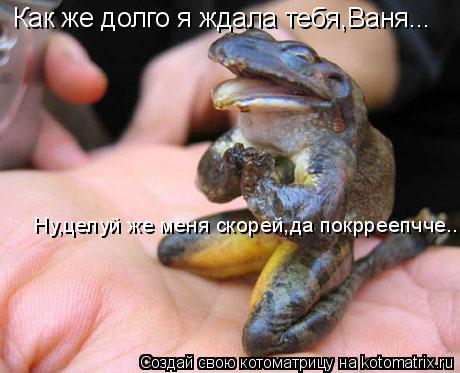 Котоматрица: Ну,целуй же меня скорей,да покрреепчче... Как же долго я ждала тебя,Ваня...