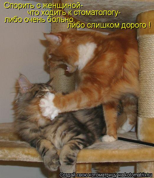 Котоматрица: Спорить с женщиной- что ходить к стоматологу- либо очень больно, либо слишком дорого !