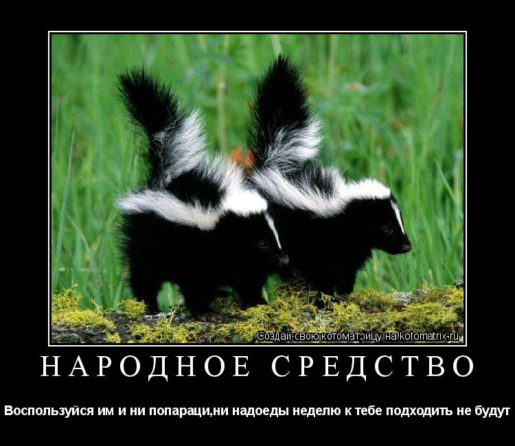 Котоматрица: Народное средство Воспользуйся им и ни попараци,ни надоеды неделю к тебе подходить не будут