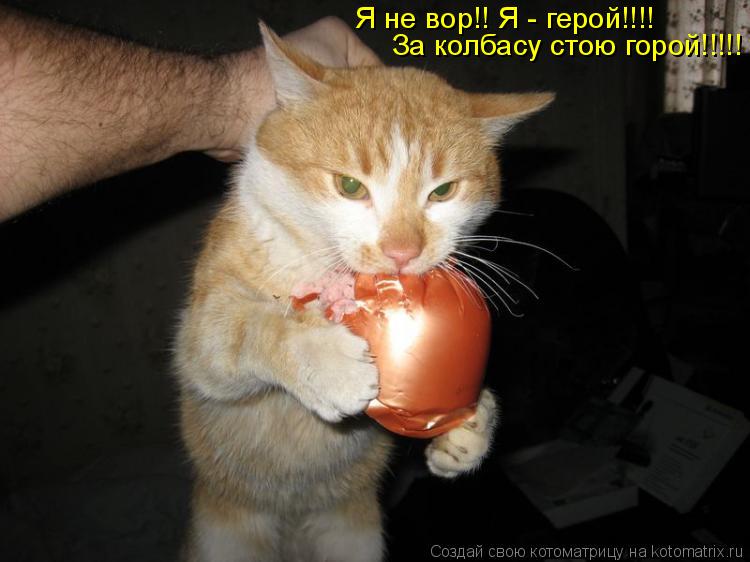 Я не вор!! Я - герой!!!! За колбасу стою горой!!!!!... Котоматрица: Я не вор!! Я - герой!!!! За колбасу стою горой!!!!!
