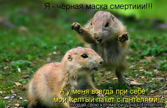 Котоматрица: Я - чёрная маска смертиии!!! А у меня всегда при себе  мой желтый пакет с гантелями...