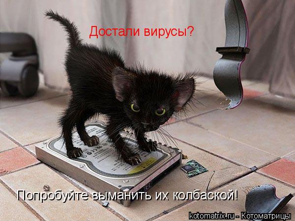 Котоматрица: Достали вирусы? Попробуйте выманить их колбаской!