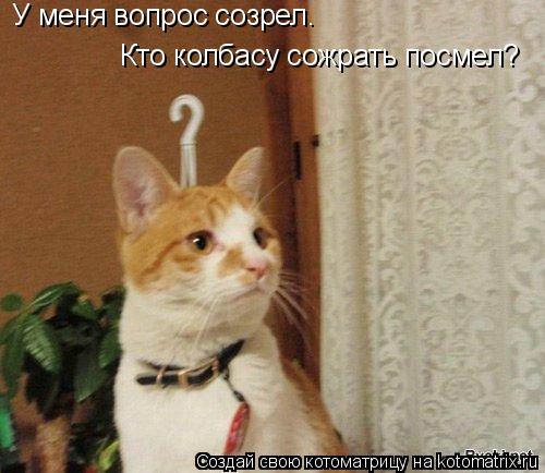 Котоматрица: У меня вопрос созрел. Кто колбасу сожрать посмел?