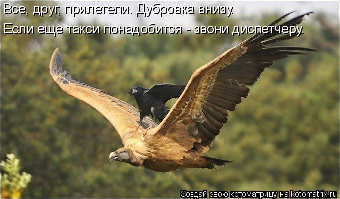 Если еще такси понадобится - звони диспетчеру. Все, друг, прилетели. Дубровка внизу.... Котоматрица: Если еще такси понадобится - звони диспетчеру. Все, друг, прилетели. Дубровка внизу.