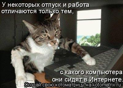 Котоматрица: У некоторых отпуск и работа отличаются только тем, с какого компьютера они сидят в Интернете.