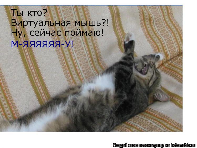 Котоматрица: Ты кто?  Виртуальная мышь?! Ну, сейчас поймаю!  М-ЯЯЯЯЯЯ-У!