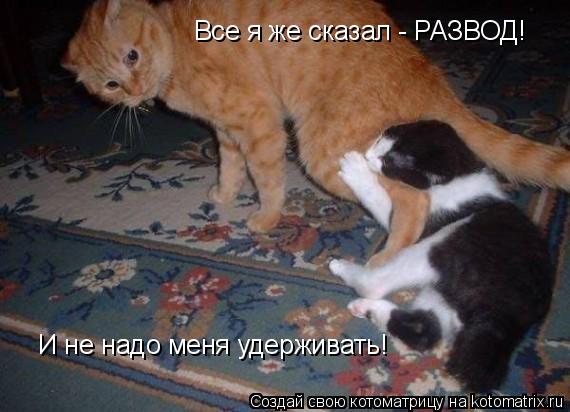 Котоматрица: Все я же сказал - РАЗВОД! И не надо меня удерживать!