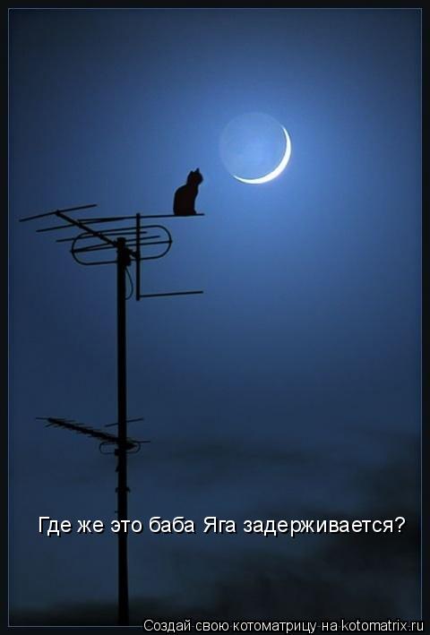 Котоматрица: Где же это баба Яга задерживается?