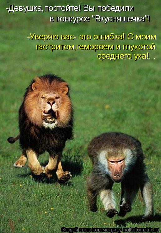 -Девушка,постойте! Вы победили в конкурсе "Вкусняшечка"! -Уверяю вас- это ошибка! С моим гастритом,... Котоматрица: -Девушка,постойте! Вы победили в конкурсе "Вкусняшечка"! -Уверяю вас- это ошибка! С моим гастритом,гемороем и глухотой среднего уха!...