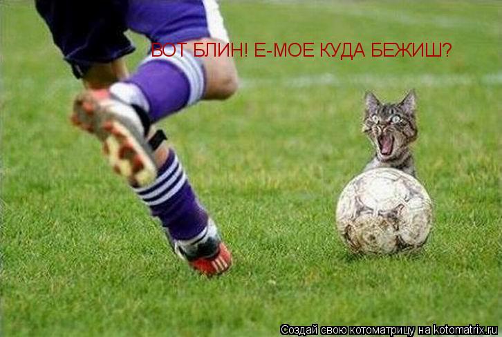 Котоматрица: ВОТ БЛИН! Е-МОЕ КУДА БЕЖИШ?