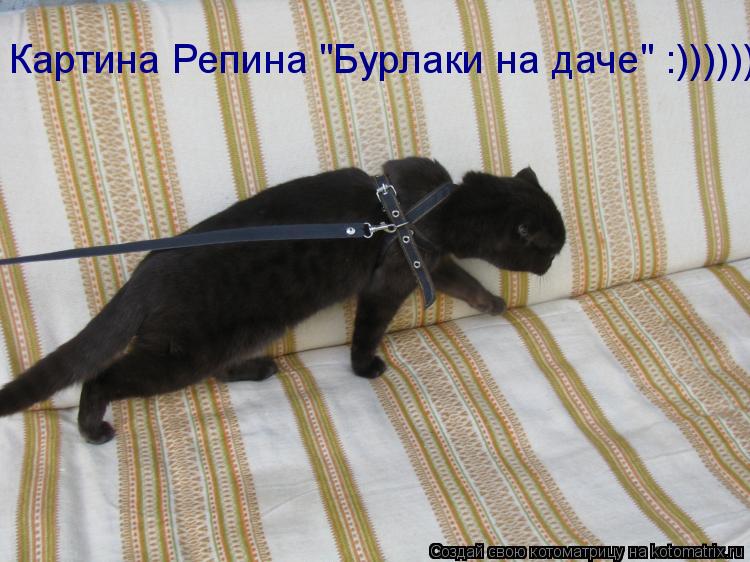 Котоматрица: Картина Репина "Бурлаки на даче" :))))))