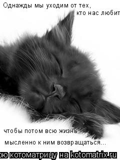 Котоматрица: Однажды мы уходим от тех,  кто нас любит,  чтобы потом всю жизнь  мысленно к ним возвращаться...