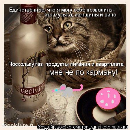 Котоматрица: Единственное, что я могу себе позволить - это музыка, женщины и вино Поскольку газ, продукты питания и квартплата мне не по карману!