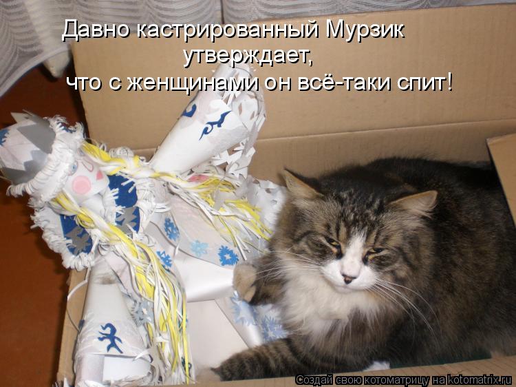 Давно кастрированный Мурзик утверждает, что с женщинами он всё-таки спит!... Котоматрица: Давно кастрированный Мурзик утверждает, что с женщинами он всё-таки спит!