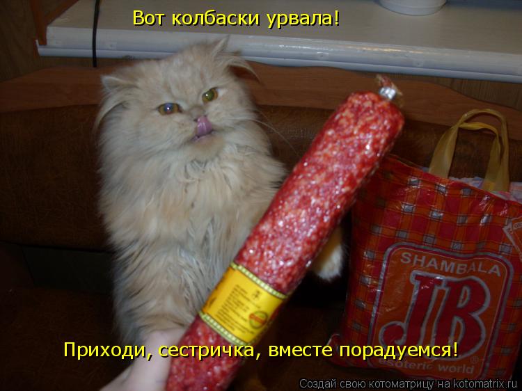 Котоматрица: Вот колбаски урвала!   Приходи, сестричка, вместе порадуемся!