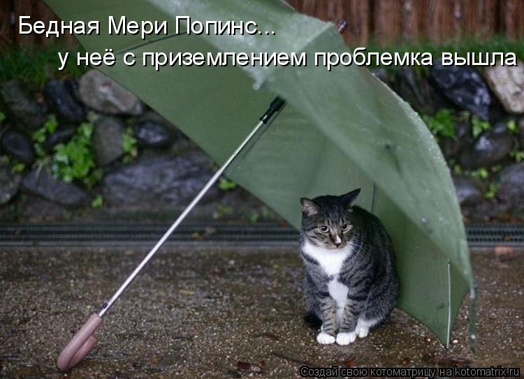 Котоматрица: Бедная Мери Попинс...  у неё с приземлением проблемка вышла