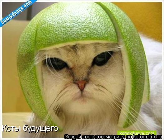 Коты будущего... Котоматрица: Коты будущего