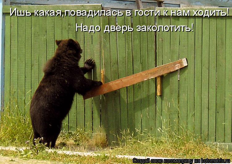 Котоматрица: Ишь какая,повадилась в гости к нам ходить! Надо дверь заколотить!