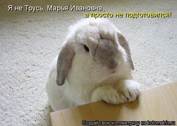 Я не Трусь, Марья Ивановна, а просто не подготовился!... Котоматрица: Я не Трусь, Марья Ивановна, а просто не подготовился!