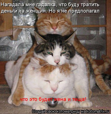 Котоматрица: Нагадала мне гадалка, что буду тратить деньги на женщин. Но я не предполагал что это будет жена и теща!