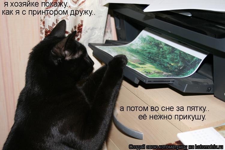 Котоматрица: я хозяйке покажу.. как я с принтором дружу.. а потом во сне за пятку.. её нежно прикушу.