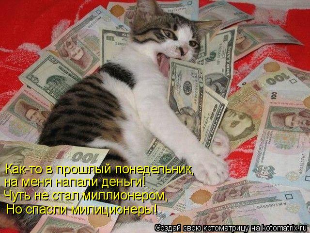 Котоматрица: Как-то в прошлый понедельник, на меня напали деньги! Чуть не стал миллионером, Но спасли милиционеры!