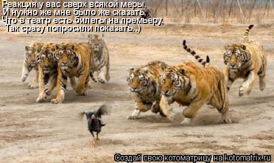 Котоматрица: Реакция у вас сверх всякой меры, И нужно же мне было же сказать, Что в театр есть билеты на премьеру, Так сразу попросили показать..)