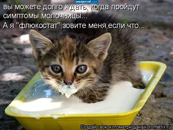Котоматрица: вы можете долго ждать, когда пройдут симптомы молочницы... А я "флюкостат",зовите меня,если что...