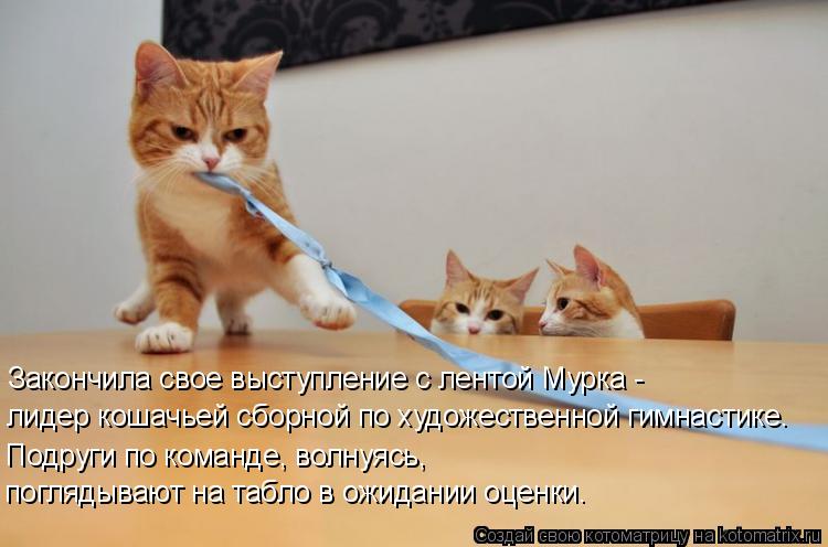 Закончила свое выступление с лентой Мурка - лидер кошачьей сборной по художественной гимнастике. Под... Котоматрица: Закончила свое выступление с лентой Мурка - лидер кошачьей сборной по художественной гимнастике. Подруги по команде, волнуясь, поглядываю