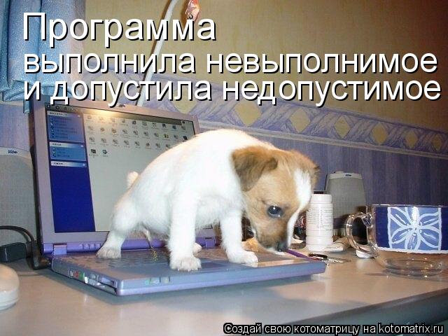 Котоматрица: Программа  выполнила невыполнимое и допустила недопустимое.  и допустила недопустимое