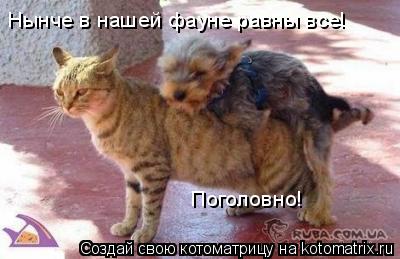 Нынче в нашей фауне равны все! Поголовно!... Котоматрица: Нынче в нашей фауне равны все! Поголовно!