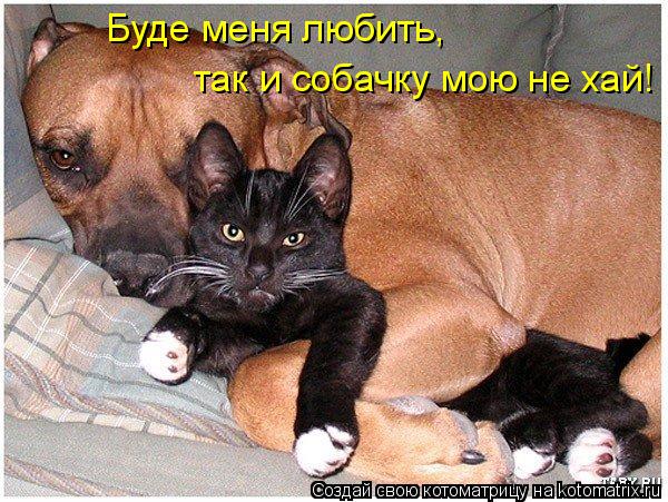 Котоматрица: Буде меня любить,  так и собачку мою не хай!