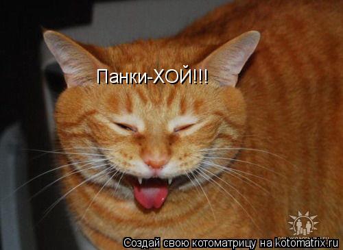 Котоматрица: Панки-ХОЙ!!!