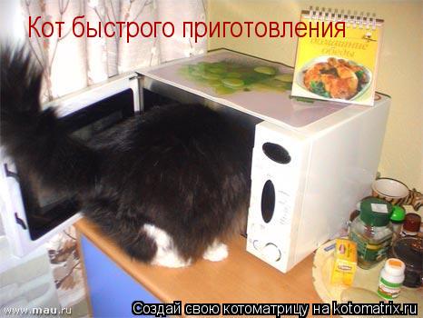 Котоматрица: Кот быстрого приготовления