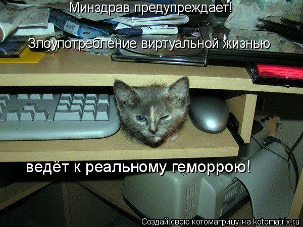 Котоматрица: Минздрав предупреждает!  Злоупотребление виртуальной жизнью  ведёт к реальному геморрою!