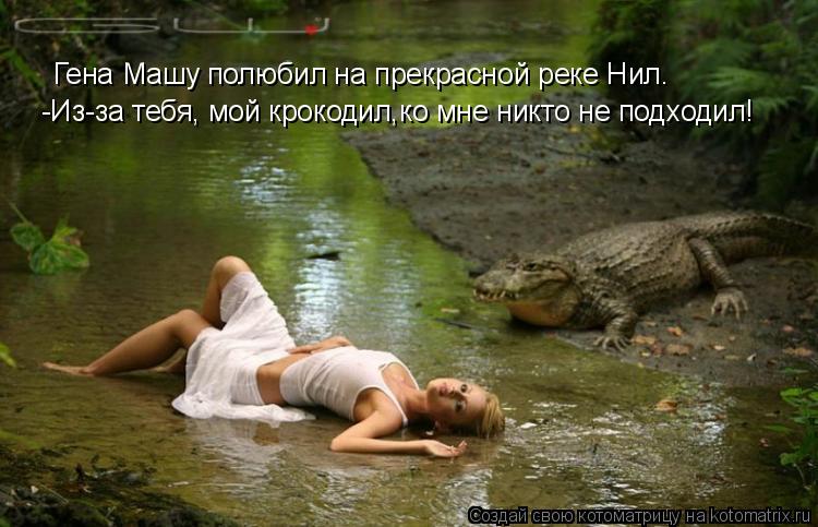 Котоматрица: Гена Машу полюбил на прекрасной реке Нил. -Из-за тебя, мой крокодил,ко мне никто не подходил!