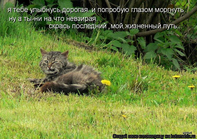 я тебе улыбнусь,дорогая..и попробую глазом моргнуть ну а ты-ни на что невзирая. скрась последний ,мой... Котоматрица: я тебе улыбнусь,дорогая..и попробую глазом моргнуть ну а ты-ни на что невзирая. скрась последний ,мой,жизненный путь...