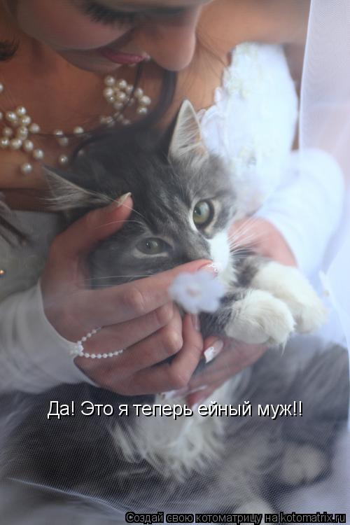 Котоматрица: Да! Это я теперь ейный муж!!