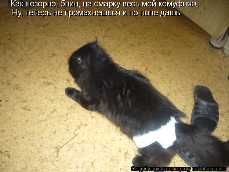 Как позорно, блин, на смарку весь мой комуфляж. Ну, теперь не промахнешься и по попе дашь.... Котоматрица: Как позорно, блин, на смарку весь мой комуфляж. Ну, теперь не промахнешься и по попе дашь.