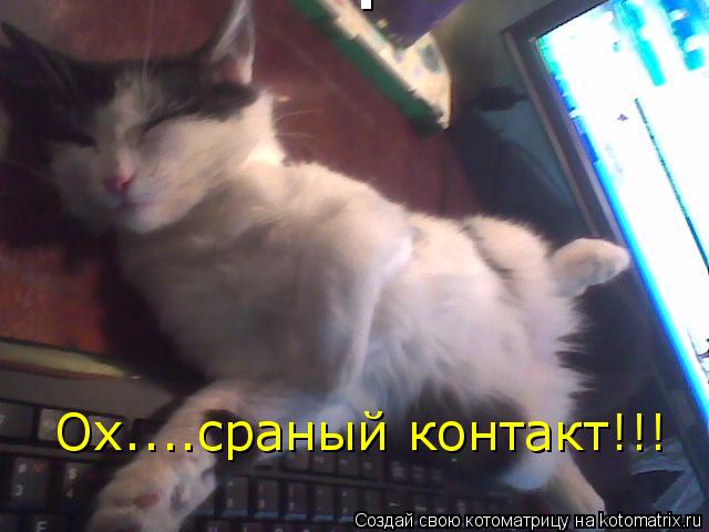 Котоматрица: Ох....сраный контакт!!! Ох....сраный контакт!!!