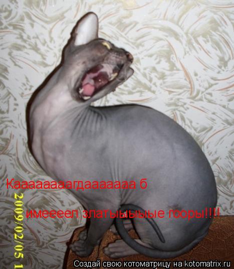 Каааааааагдааааааа б имеееел златыыыыые гооры!!!!... Котоматрица: Каааааааагдааааааа б имеееел златыыыыые гооры!!!!