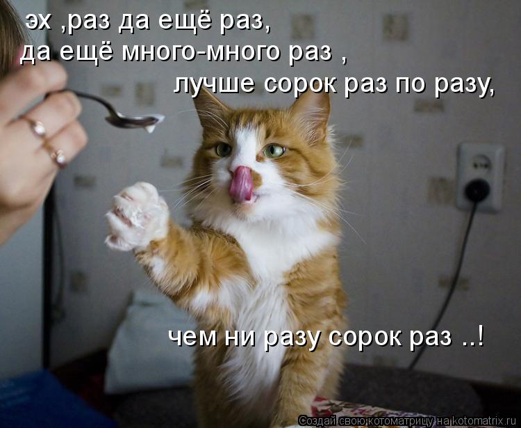эх ,раз да ещё раз, да ещё много-много раз , лучше сорок раз по разу, чем ни разу сорок раз ..!... Котоматрица: эх ,раз да ещё раз, да ещё много-много раз , лучше сорок раз по разу, чем ни разу сорок раз ..!