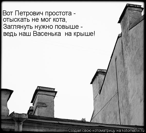 ведь наш Васенька на крыше! Заглянуть нужно повыше - отыскать не мог кота, Вот Петрович простота -... Котоматрица: ведь наш Васенька на крыше! Заглянуть нужно повыше - отыскать не мог кота, Вот Петрович простота -